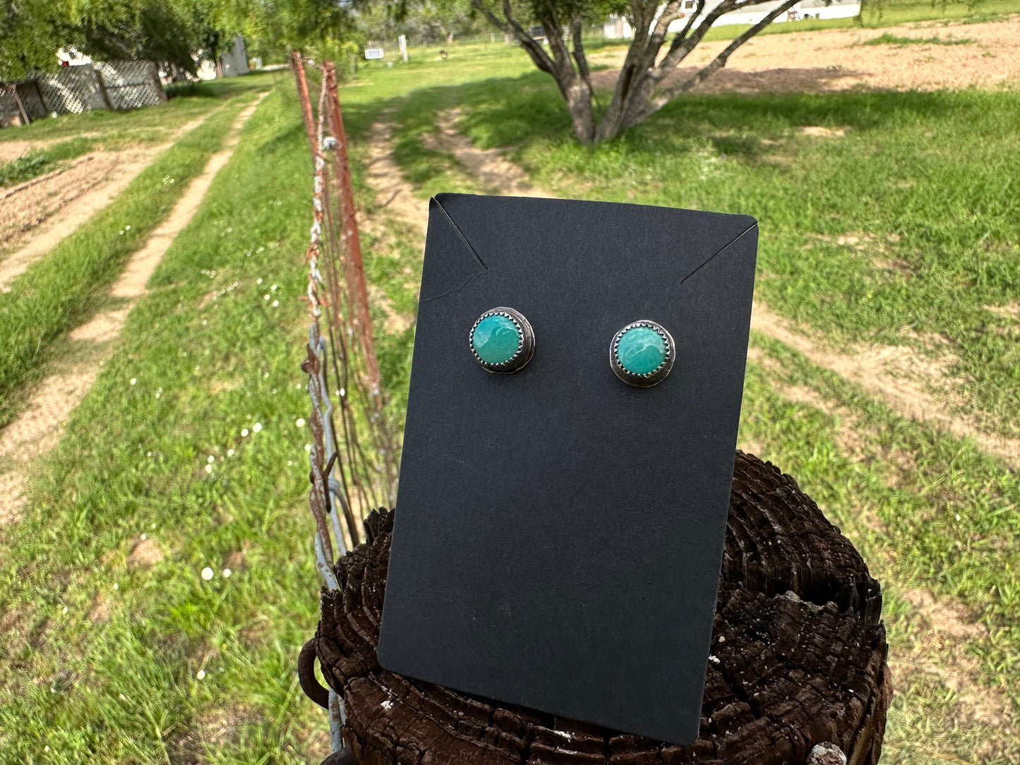 Turquoise stud earrings